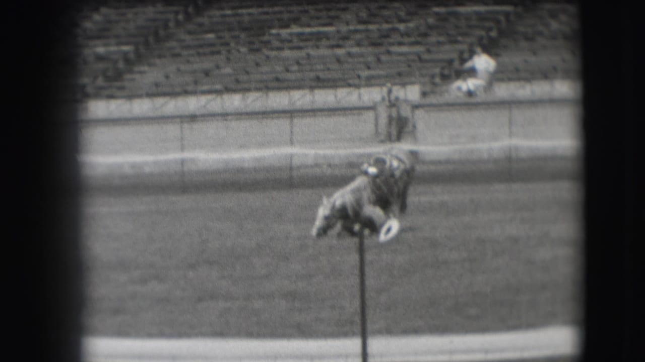 In 1941 Denver archival 8mm footage, a horse appears to be collapsing on a grassy arena field near a pole while spectators sit in distant stands.