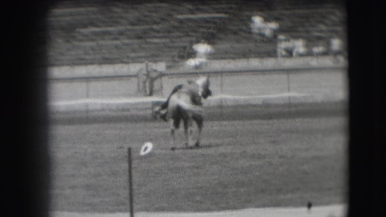The rider and horse are seen from behind in the open arena, with the rail and bleachers visible beyond them.