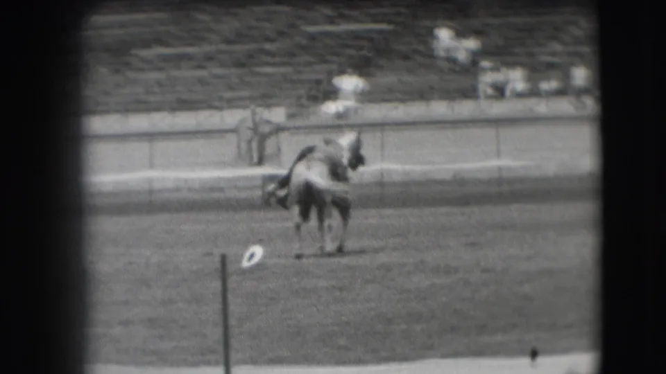 The rider and horse are seen from behind in the open arena, with the rail and bleachers visible beyond them.