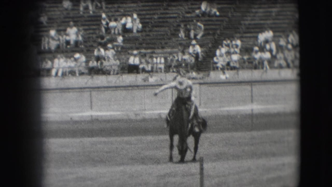 Rider on a horse near the arena rail with spectators seated in the background.