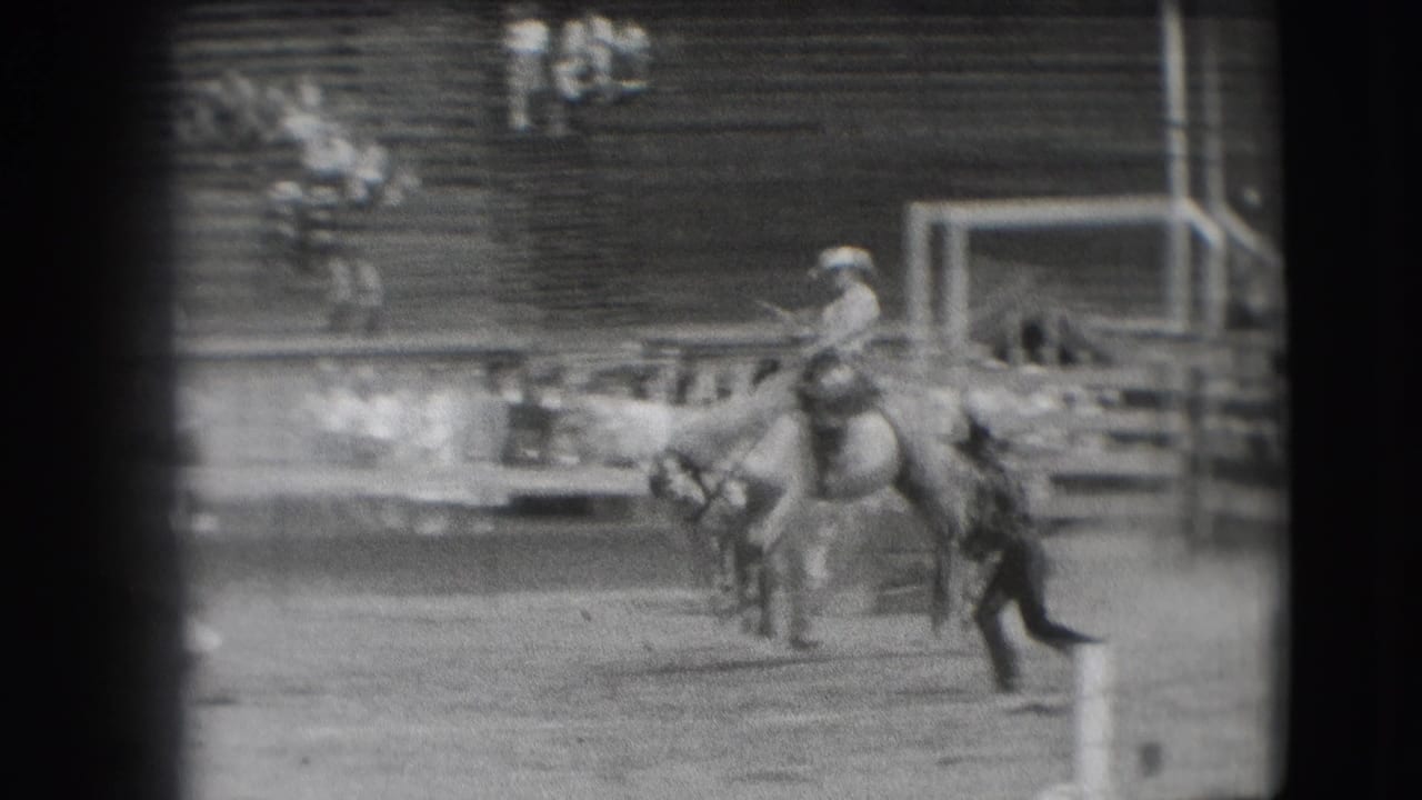 A cowboy rides a bucking horse in the Denver rodeo arena, with wooden chutes and bleachers visible in the background.