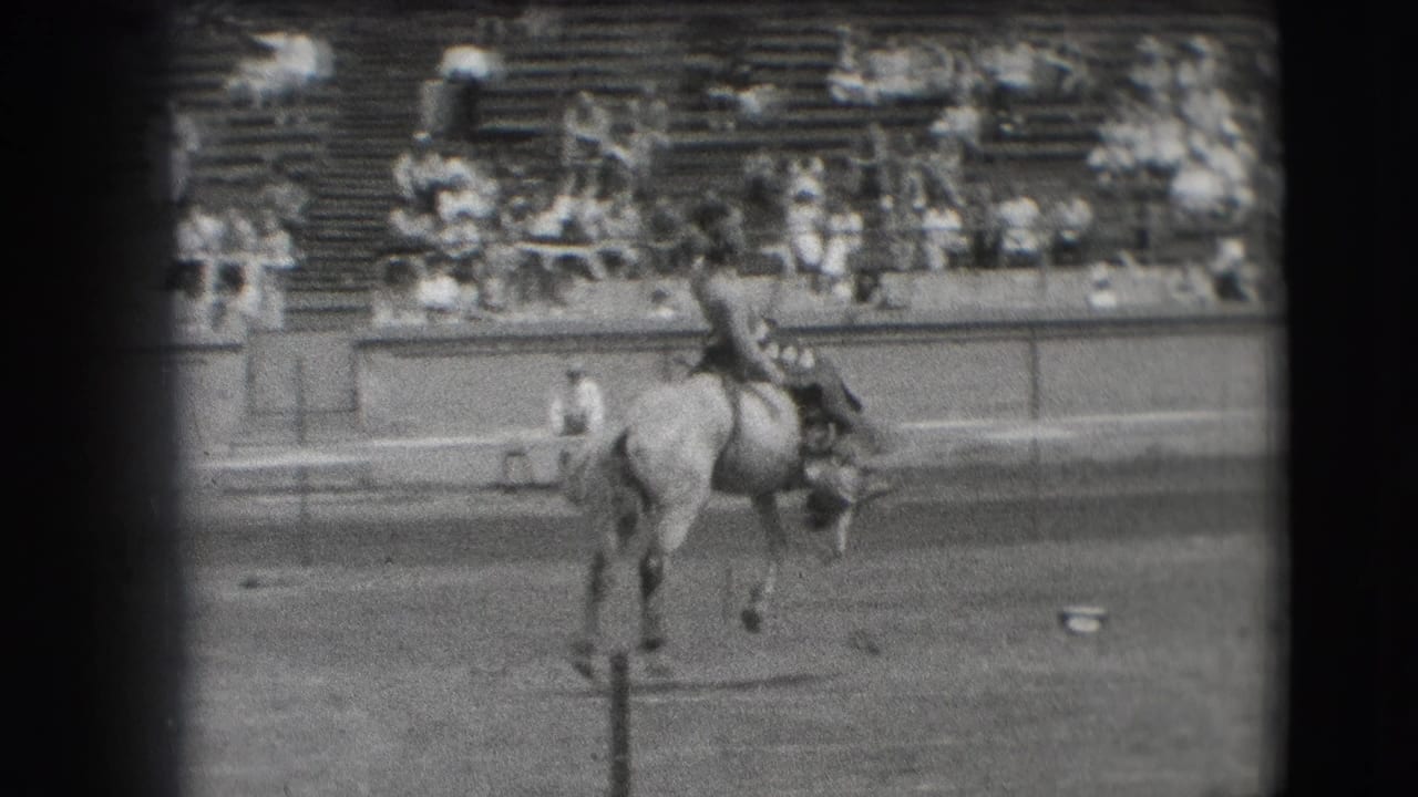 A cowboy is lifted by the motion of a bucking horse in the Denver rodeo arena, with spectators visible in the stands.