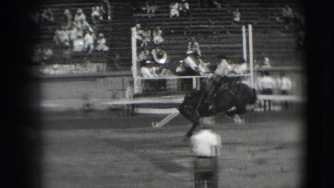 Rider on a bucking horse in an arena with spectators in bleachers behind.