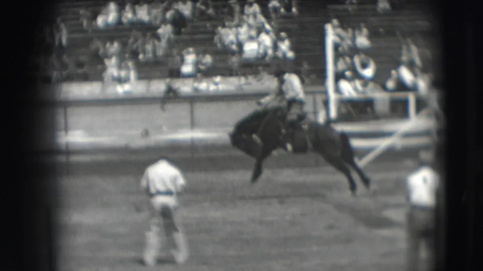 In the Denver arena, the bucking horse moves right with the rider still mounted and spectators seated behind the rail.