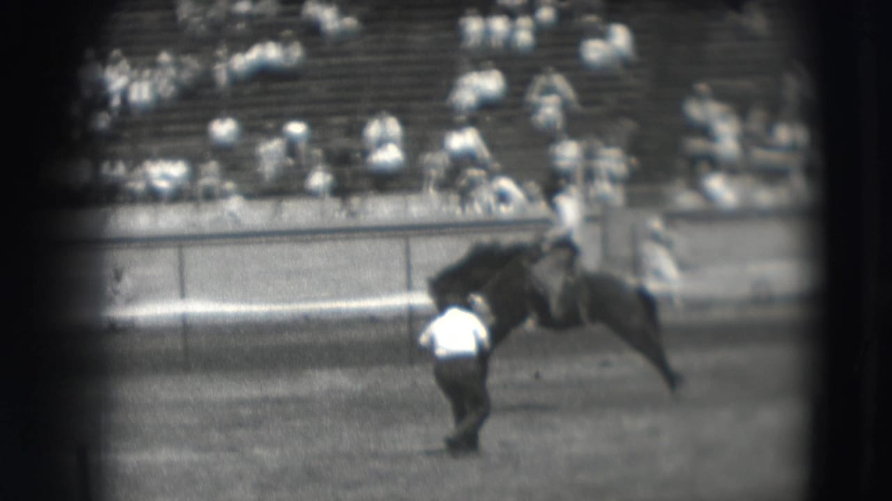 Cowboy on a bucking horse in a rodeo arena with spectators in bleachers.