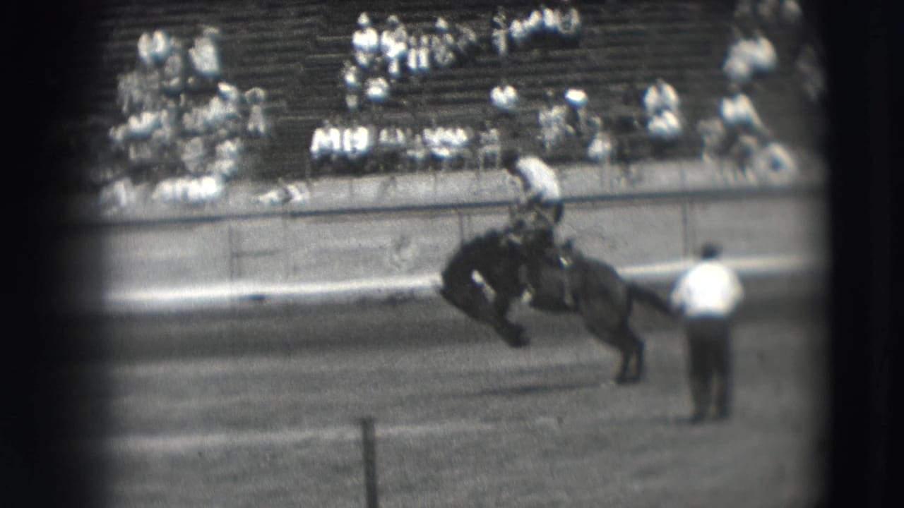 A cowboy in hat and light shirt stays mounted on a bucking bronco in the Denver rodeo arena, with bleachers and spectators behind the fence.