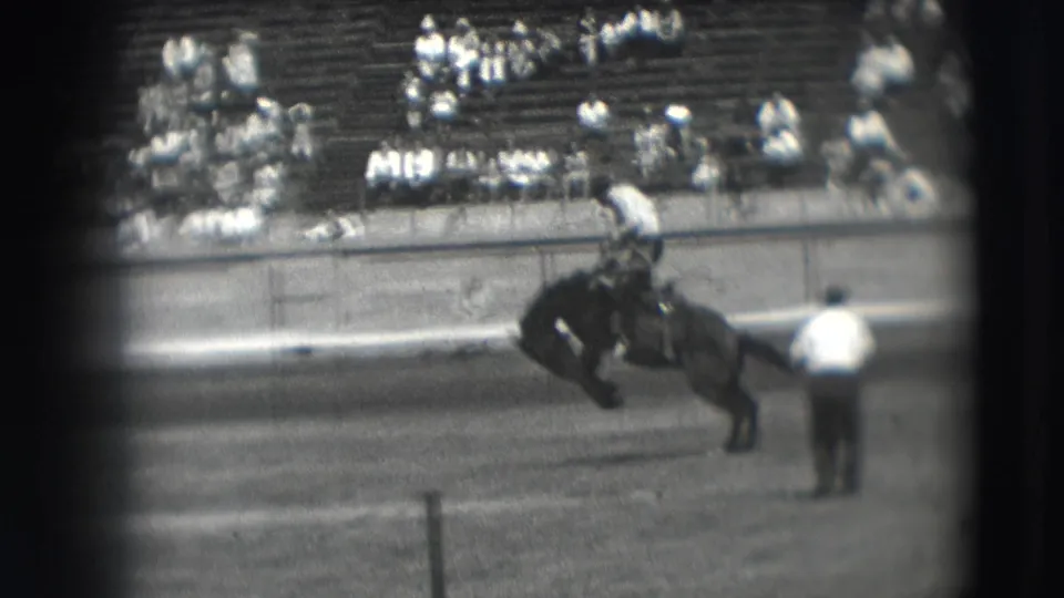 A cowboy in hat and light shirt stays mounted on a bucking bronco in the Denver rodeo arena, with bleachers and spectators behind the fence.