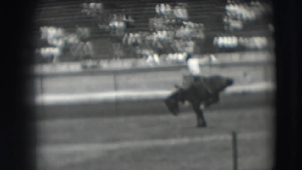 The rider leans with the motion of the bucking horse during the 1941 Denver rodeo clip, filmed from a distant spectator viewpoint.
