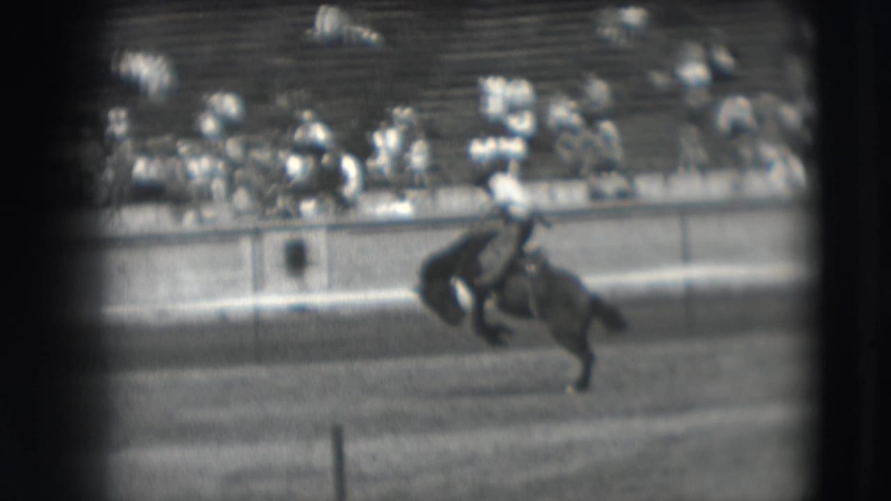 Rider on a bucking horse in a rodeo arena with spectators seated behind a barrier.