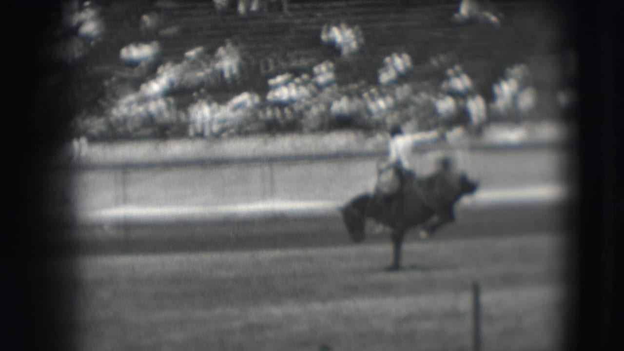 A bucking horse lifts sharply in the arena while the rider stays low, with Denver rodeo spectators visible behind the barrier.