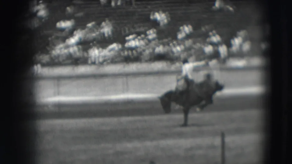A bucking horse lifts sharply in the arena while the rider stays low, with Denver rodeo spectators visible behind the barrier.