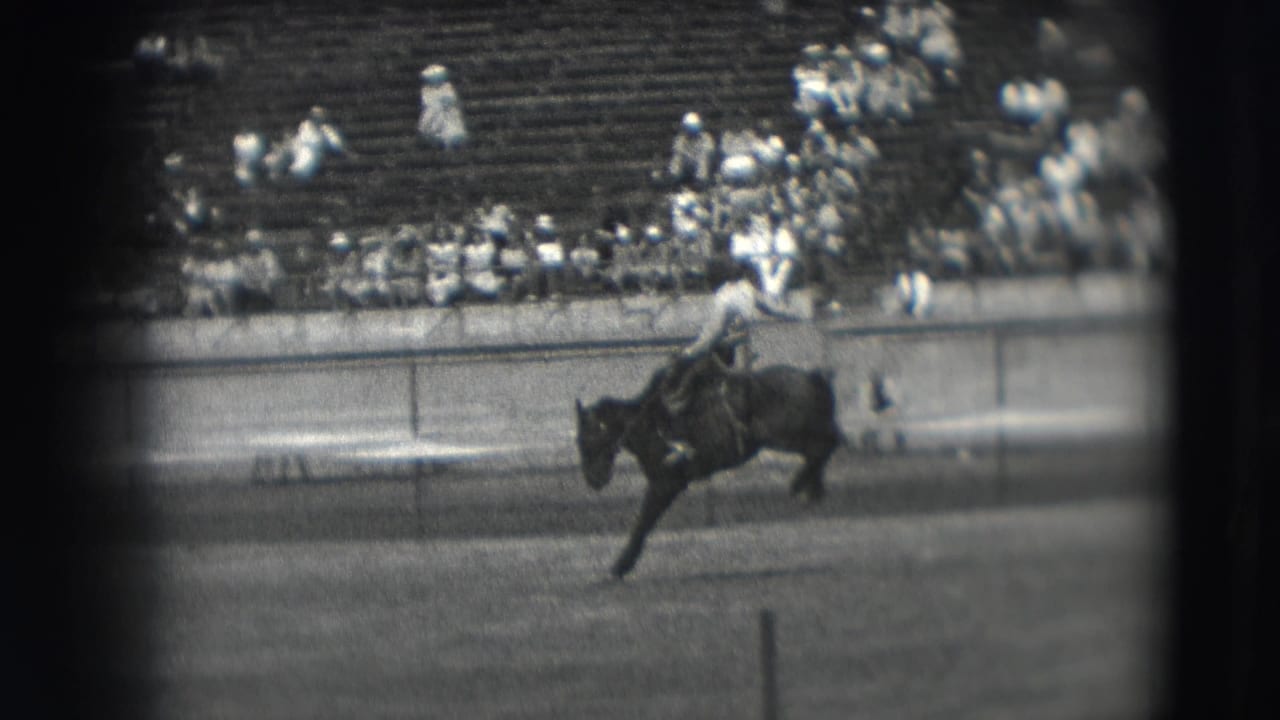 Cowboy rides a bucking horse in a rodeo arena with spectators in bleachers behind him.
