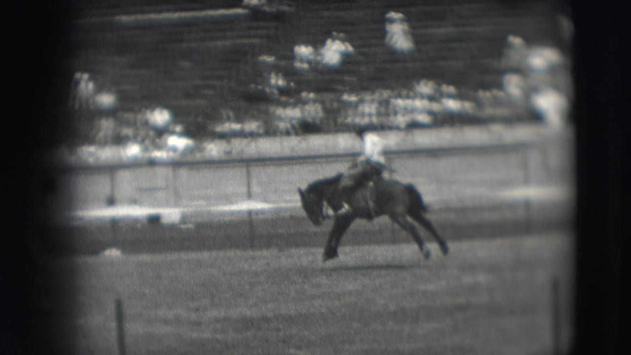 In the Denver arena, the horse bucks forward with the cowboy still mounted, while distant spectators sit along the rail and bleachers.