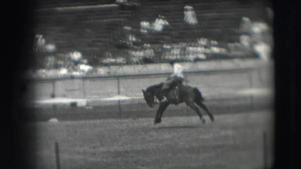 In the Denver arena, the horse bucks forward with the cowboy still mounted, while distant spectators sit along the rail and bleachers.