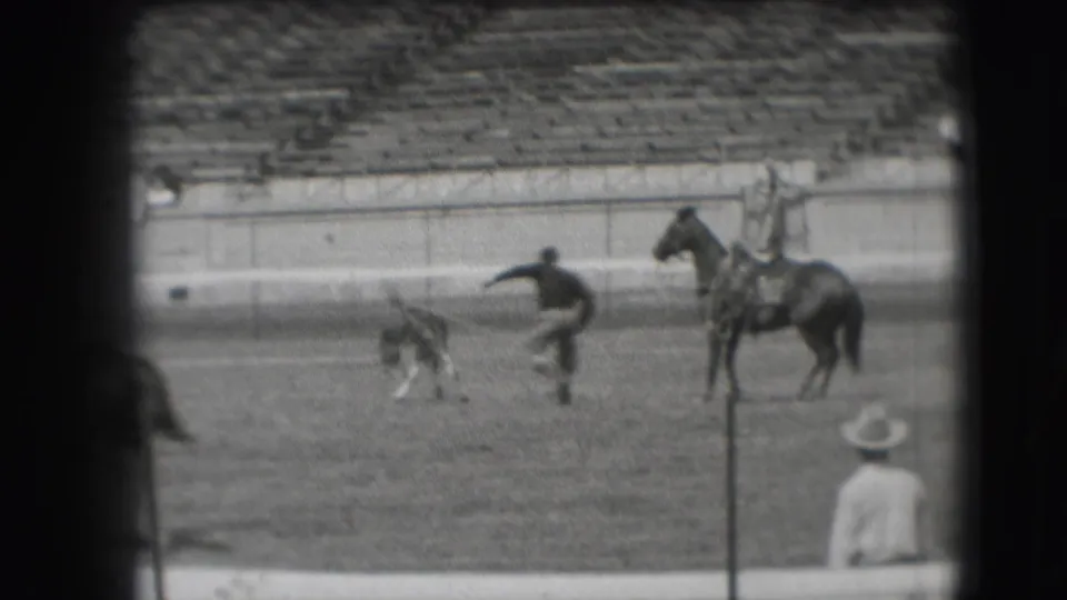 In the Denver rodeo arena, a cowboy appears to move toward a small animal as a mounted or standing horse remains to the right.