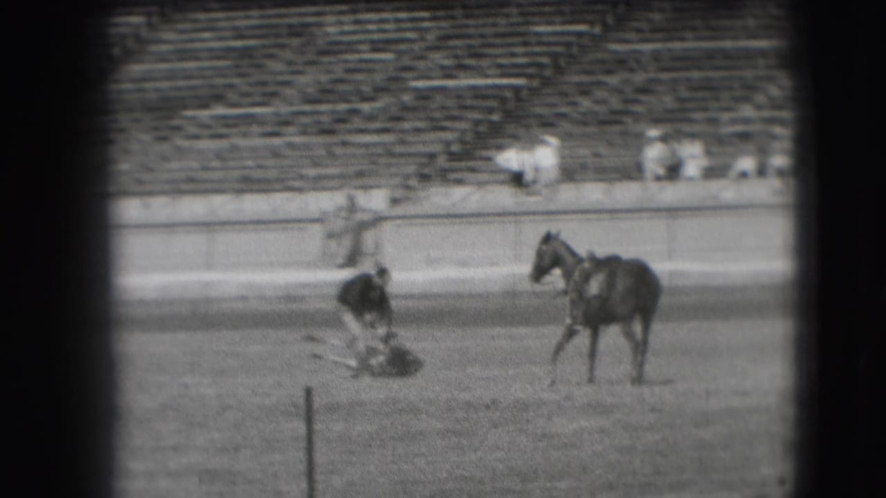 Man works near a downed steer while a saddled horse stands on a dirt rodeo arena.