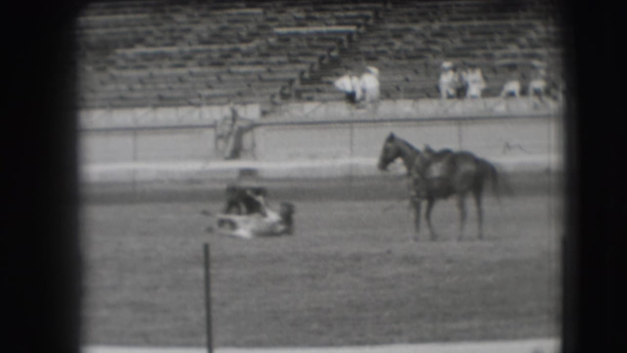 The steer remains down on the dirt rodeo arena, with a saddled horse nearby and sparse bleacher seating in the background.