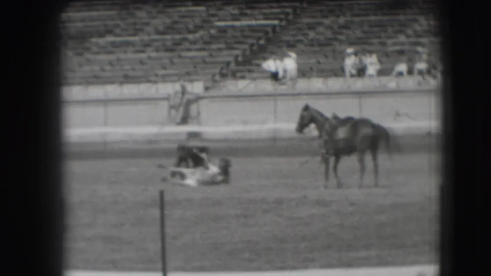 The steer remains down on the dirt rodeo arena, with a saddled horse nearby and sparse bleacher seating in the background.