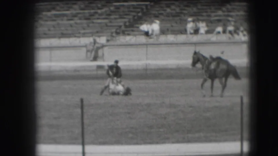 A man in dark clothing appears to secure or control a downed steer on the dirt arena while a horse stands to the right.