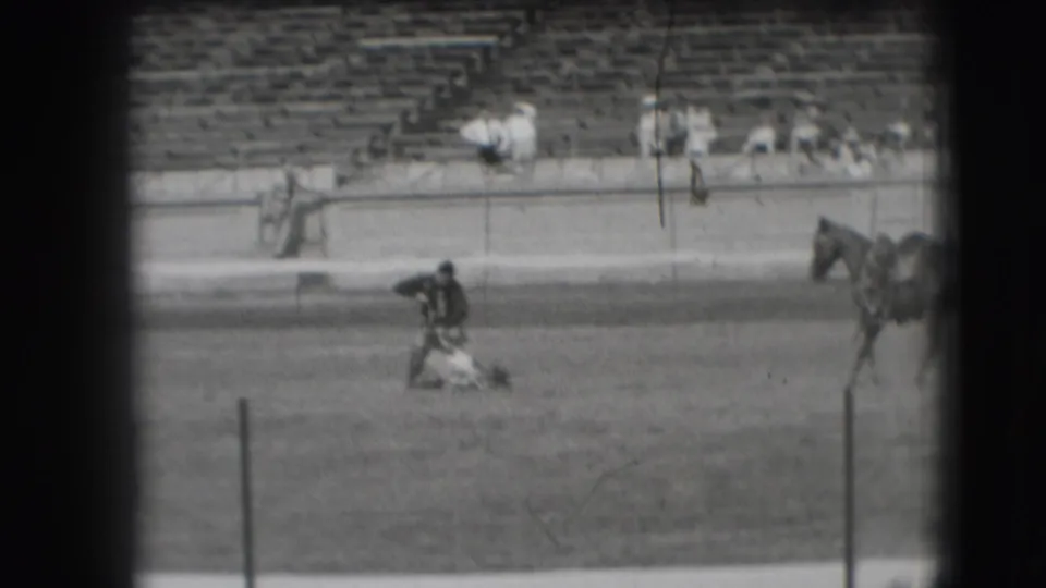 1941 Denver rodeo footage shows a cowboy working over a roped animal on the arena ground as a horse stands near the right edge.