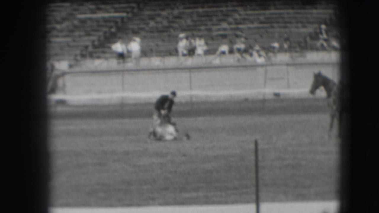 In 1941 Denver rodeo footage, a dark-shirted man bends over a tied steer on the arena floor while spectators watch from the bleachers.