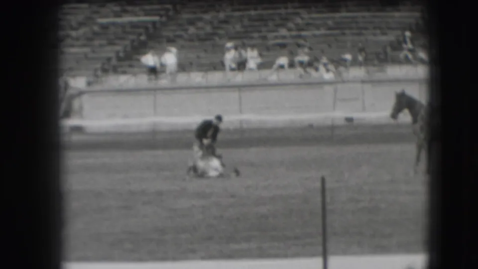 In 1941 Denver rodeo footage, a dark-shirted man bends over a tied steer on the arena floor while spectators watch from the bleachers.
