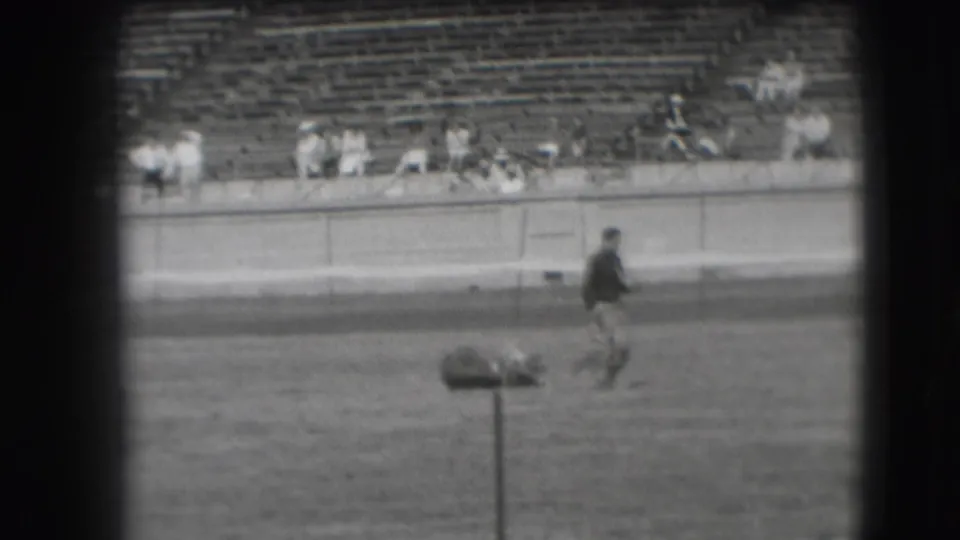 A rodeo participant crosses the Denver arena while the steer remains on the ground near a foreground post and spectators sit in the stands.
