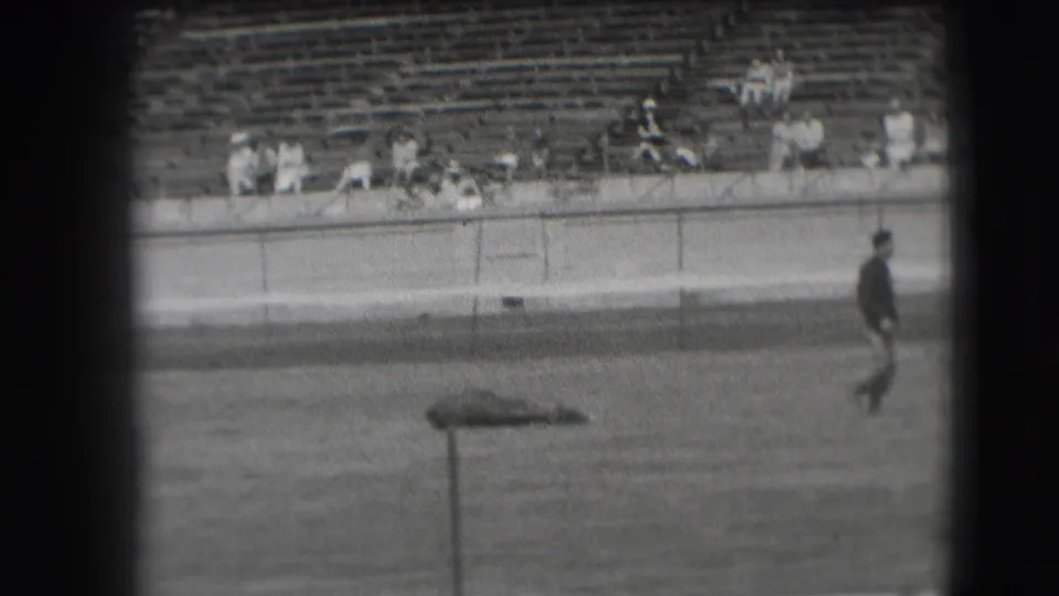 The Denver rodeo scene holds on the prone steer in the arena as the participant exits toward the right edge of the frame.