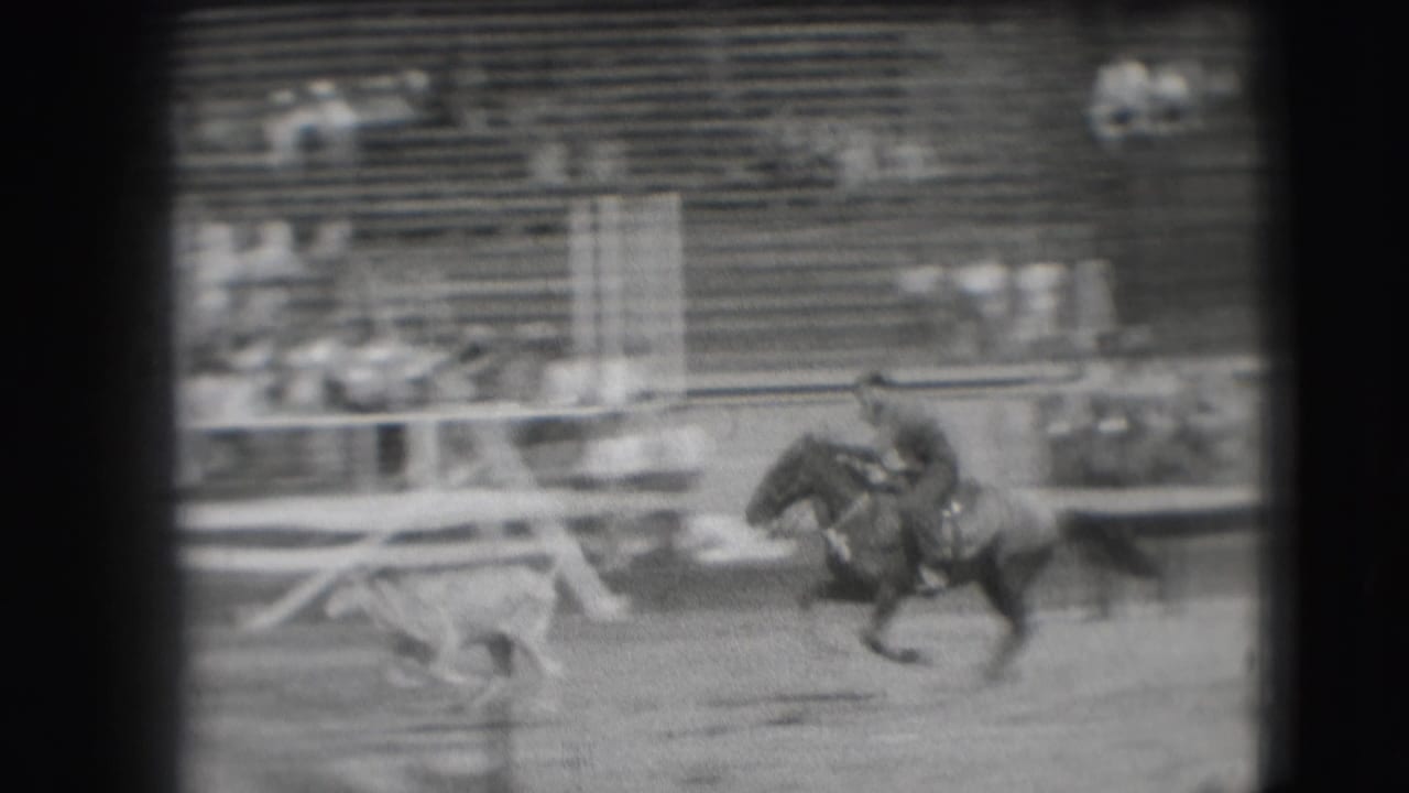 Rider on horseback chasing a small steer across an outdoor arena with bleachers behind.