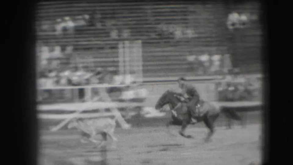 In 1941 Denver footage, a mounted rider pursues a small steer along a racetrack or arena, with railings and bleachers in the background.
