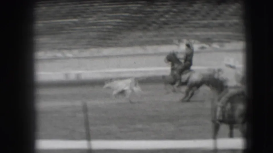 Near the end of the clip, the rider and horse remain close to the small steer as the arena rail and bleachers blur in the background.