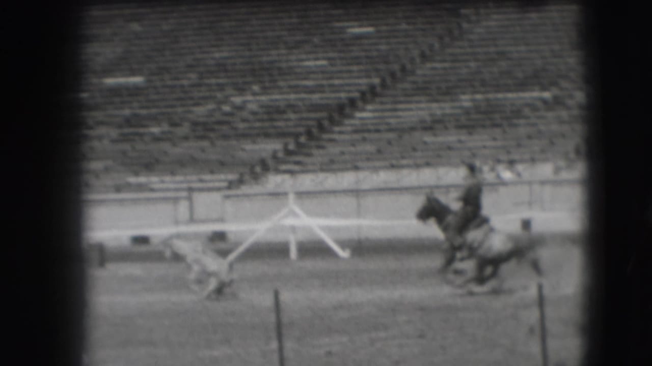 Rider on horseback near a small animal in a stadium arena with empty bleachers behind.