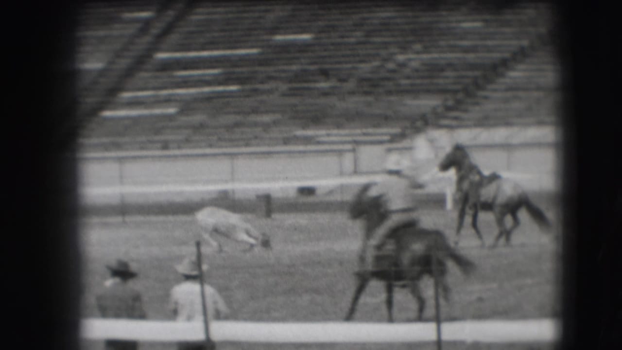 In the Denver stadium arena, men in cowboy hats and mounted riders work around a small animal during apparent rodeo practice.