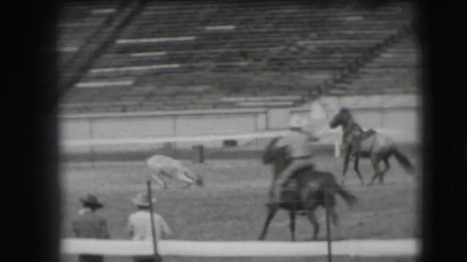 In the Denver stadium arena, men in cowboy hats and mounted riders work around a small animal during apparent rodeo practice.