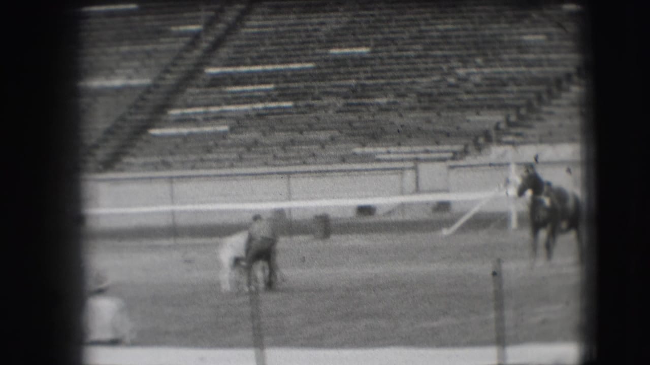 Man stands beside a white horse on a sports field with empty bleachers behind him.