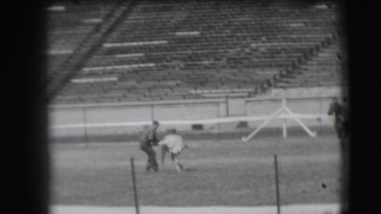 The white horse appears to resist or lower itself while a man in dark clothing handles it on a Denver sports field.