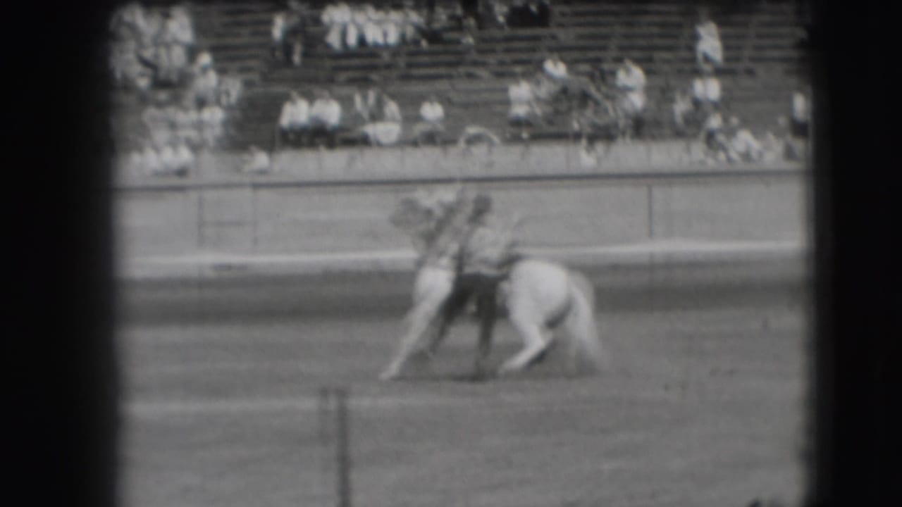 Cowboy on horseback ropes a cow in a rodeo arena with spectators in bleachers behind.