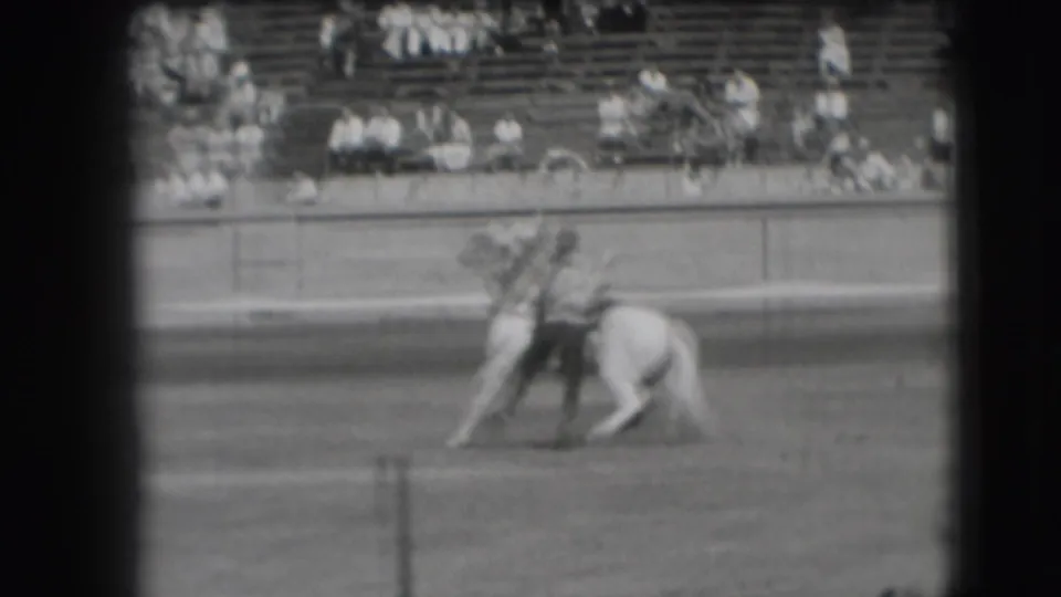 1941 Denver rodeo home-movie frame showing a mounted cowboy close to a cow in the arena as spectators sit in the stands.