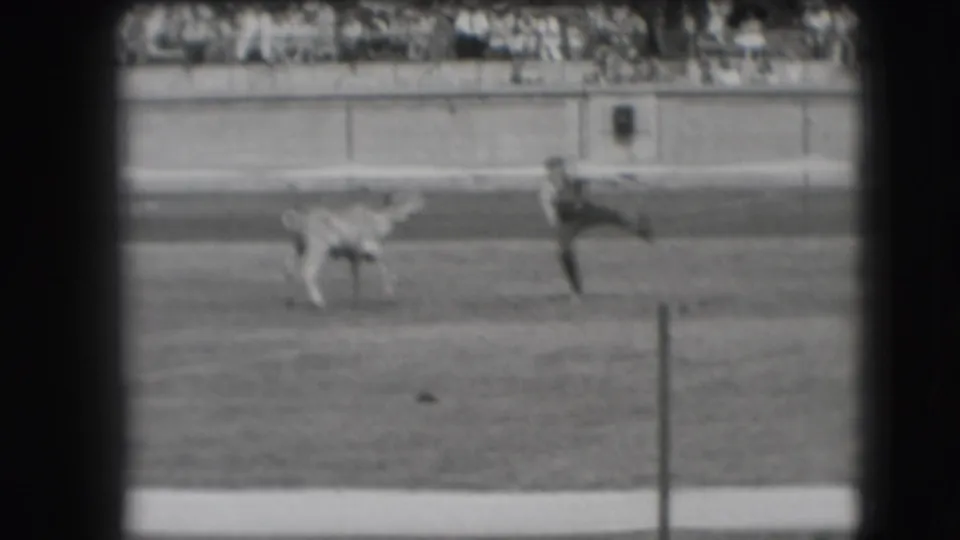 Denver 1941 rodeo frame with a cow running left and a cowboy on horseback following across the dirt arena.