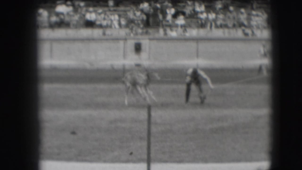 Man approaches or steadies a calf on a grassy arena field with spectators in bleachers behind.