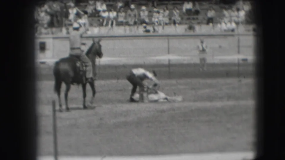 A rider on horseback is visible beside the steer wrestling action, with spectators and the arena barrier in the background.