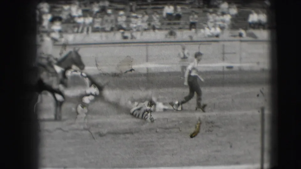 The steer lies low in the arena as a cowboy and nearby mounted riders remain in view, with bleachers behind them in the supplied Denver rodeo clip.
