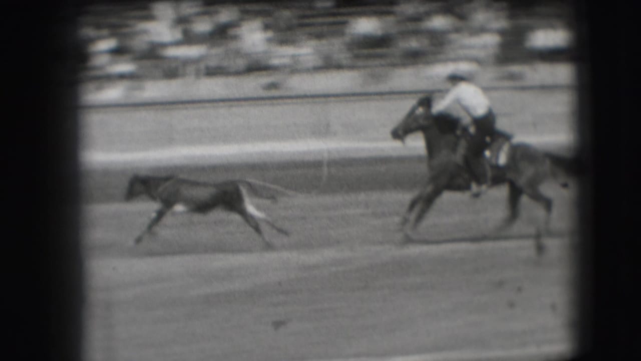 Mounted rider pursues a small running animal across a dirt rodeo arena.