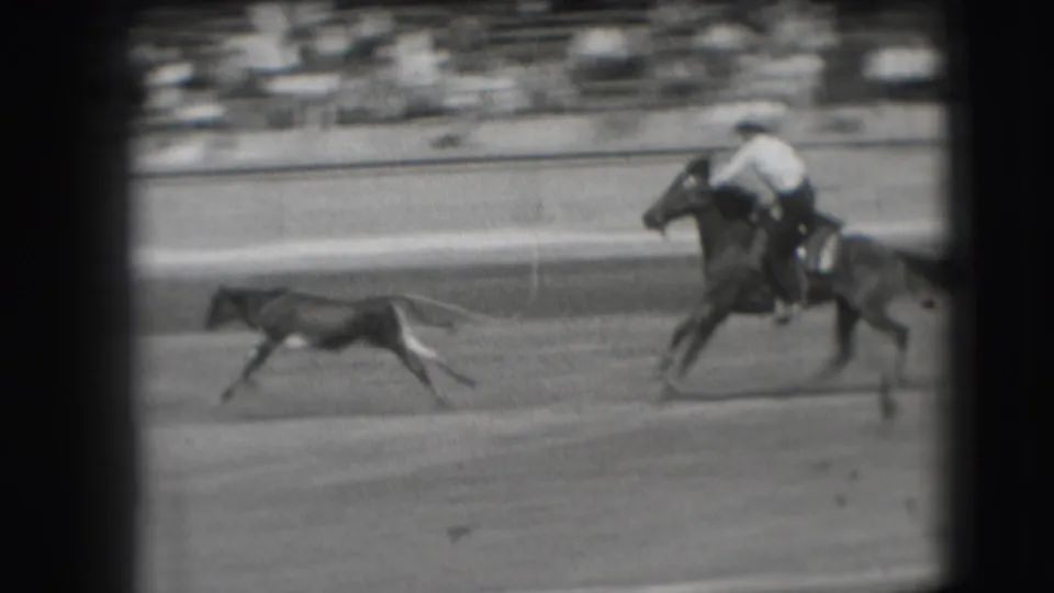 1941 Denver rodeo footage showing a rider on horseback chasing a small animal across the arena as spectators sit beyond the rail.