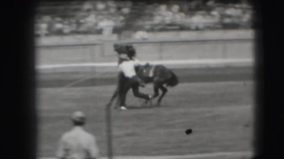 In the Denver rodeo arena, a mounted rider appears to lean toward a small animal while the chase continues near the rail.