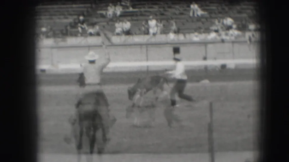 Two mounted participants and a small animal appear in the dirt arena, with bleachers and spectators visible in the background.