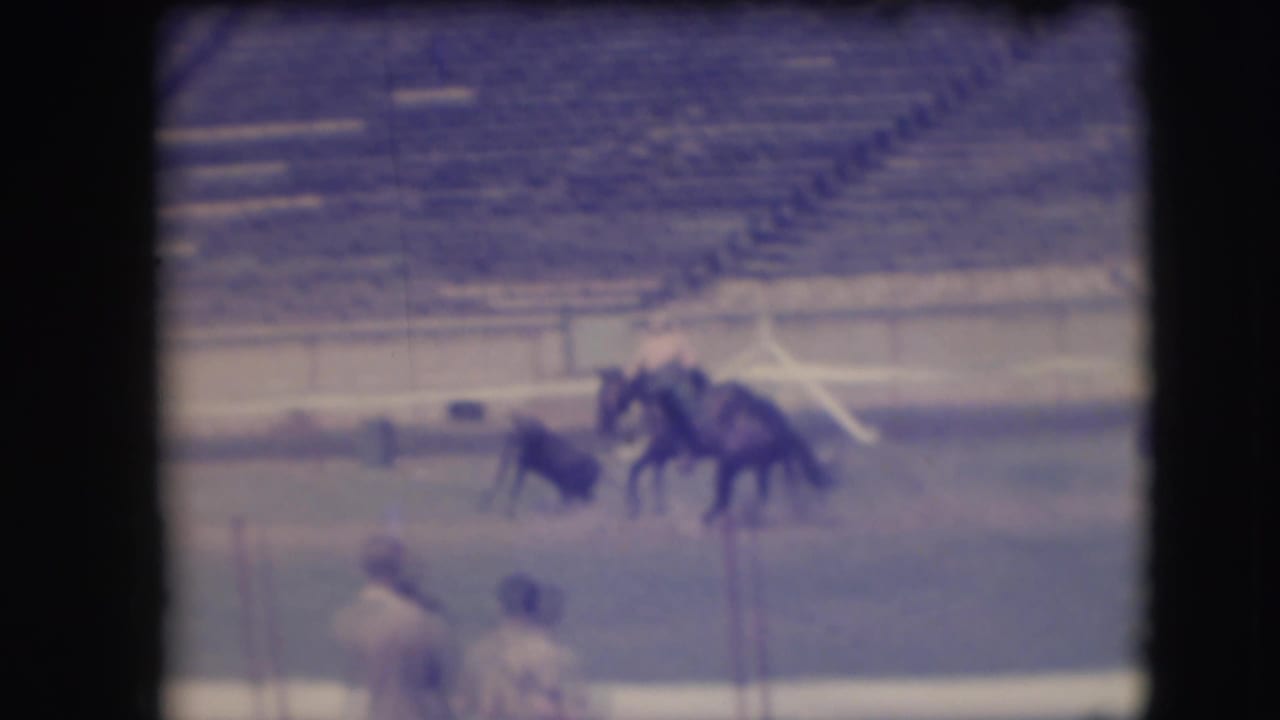 Cowboy on horseback approaches a young horse in a rodeo arena with bleachers behind.