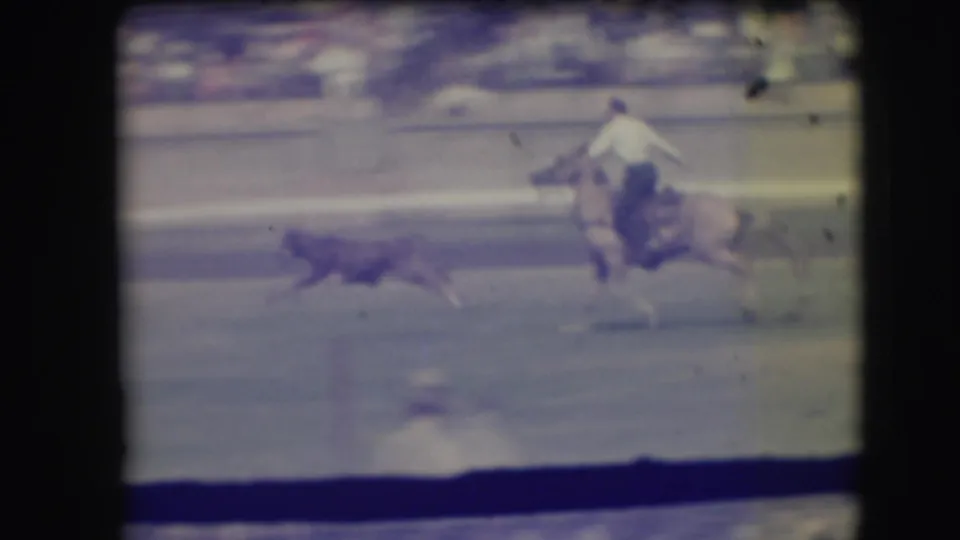 A cowboy on horseback rides beside a cow in the Denver rodeo arena, captured with motion blur and faded color on 8mm film.