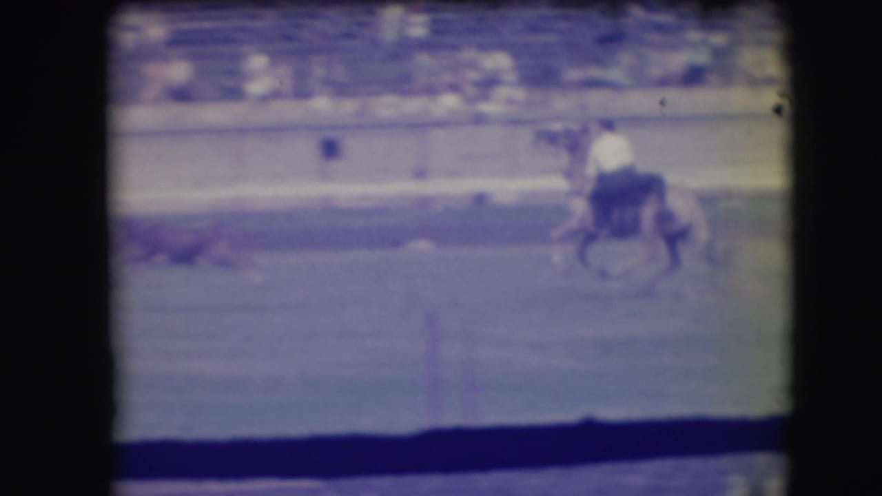 Horseback rider follows a calf across a dusty rodeo arena with spectators in distant bleachers.