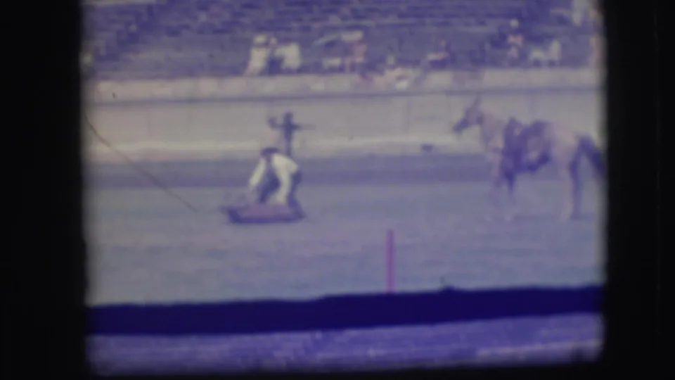 The roping contestant kneels beside the calf in the supplied Denver rodeo footage, with the horse nearby and spectators blurred in the background.